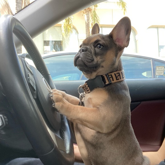 Meet your Posher - Picture 15 of 16